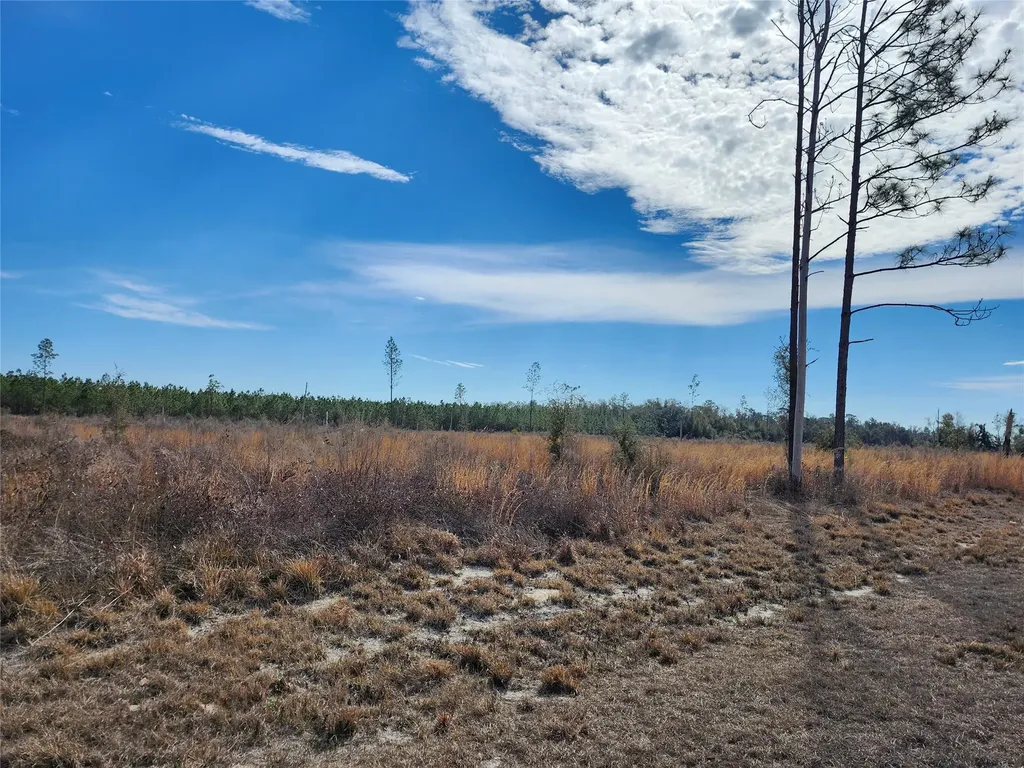 Lot 50 Fl-50 Live Oak FL 32060