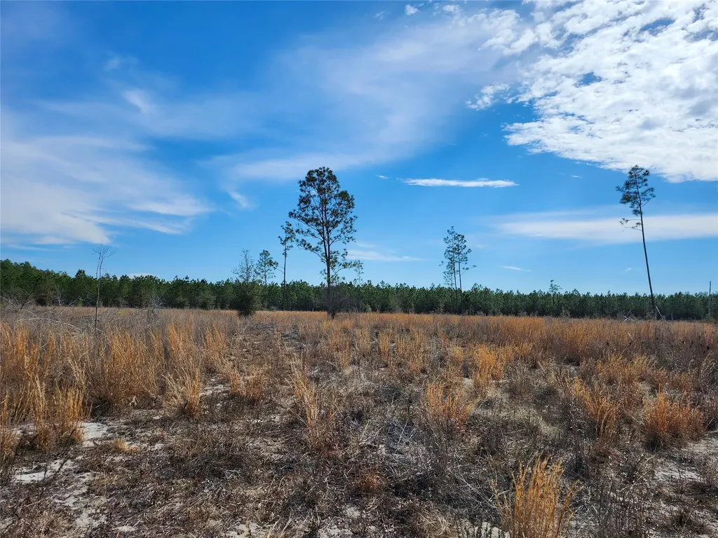 Lot 50 Fl-50 Live Oak FL 32060