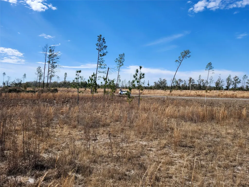 Lot 50 Fl-50 Live Oak FL 32060