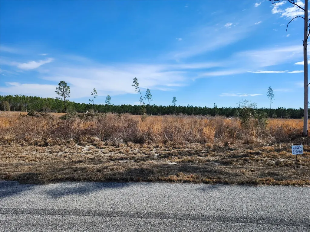 Lot 50 Fl-50 Live Oak FL 32060
