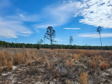 Lot 50 Fl-50 Live Oak FL 32060