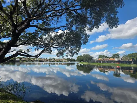 1001 Colony Point Circle Pembroke Pines FL 33026