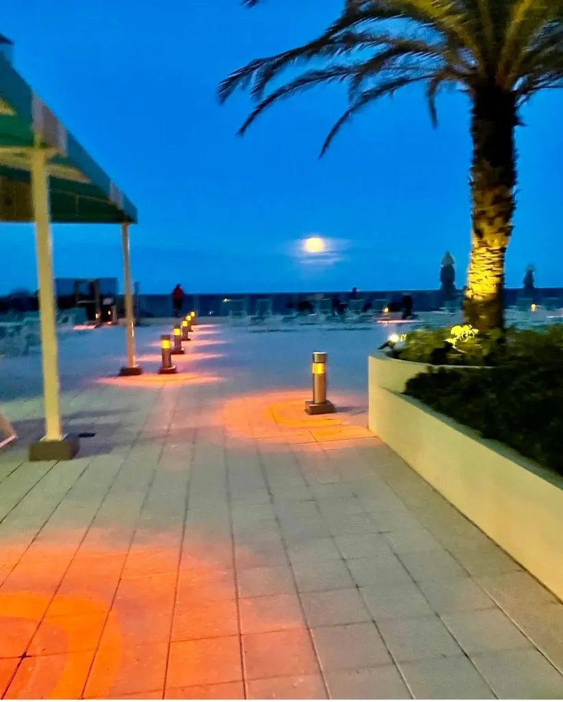 2501 S Ocean Drive Hollywood FL 33019