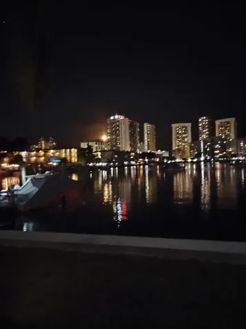 462 Golden Isle Drive Hallandale Beach FL 33009