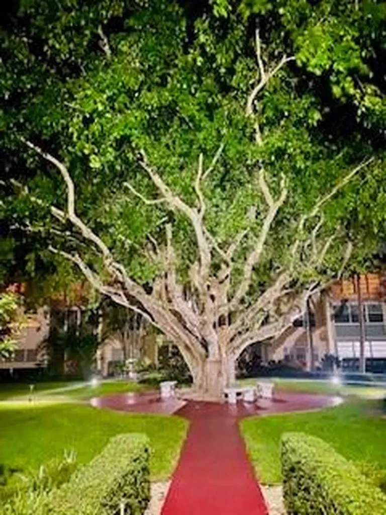Boca Raton FL 33431