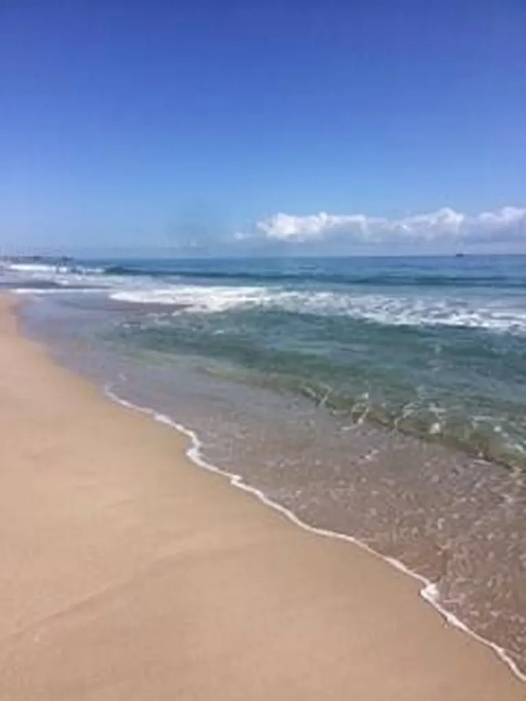 2453 NE 51st Street Fort Lauderdale FL 33308