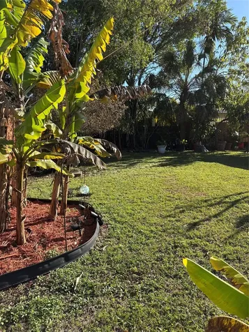 2941 SW 97th Avenue Miami FL 33165