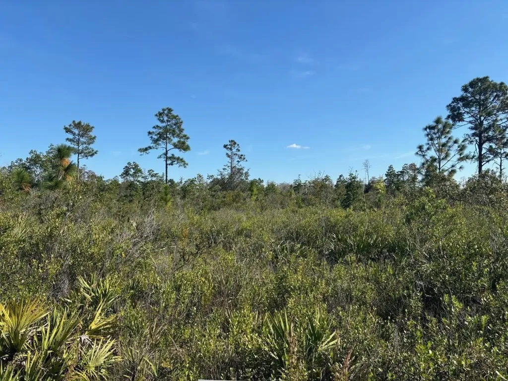 0 Holopaw Groves Road St. Cloud FL 34772