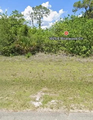 3025 E Briarwood Circle Labelle FL 33935