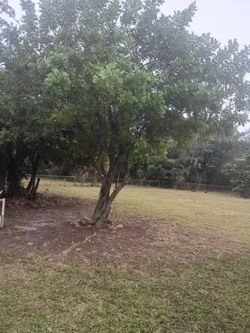 17345 NW 18th Avenue Miami Gardens FL 33056