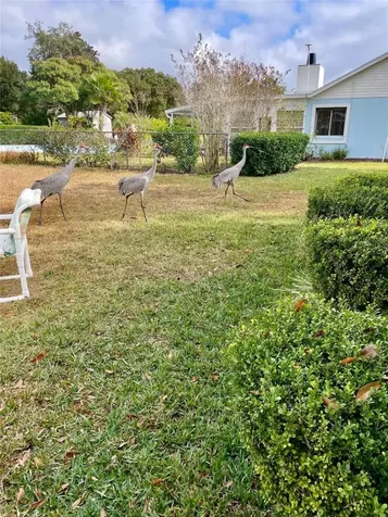3401 Divot Road Sebring FL 33872
