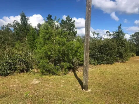 204 Usina Avenue Interlachen FL 32148
