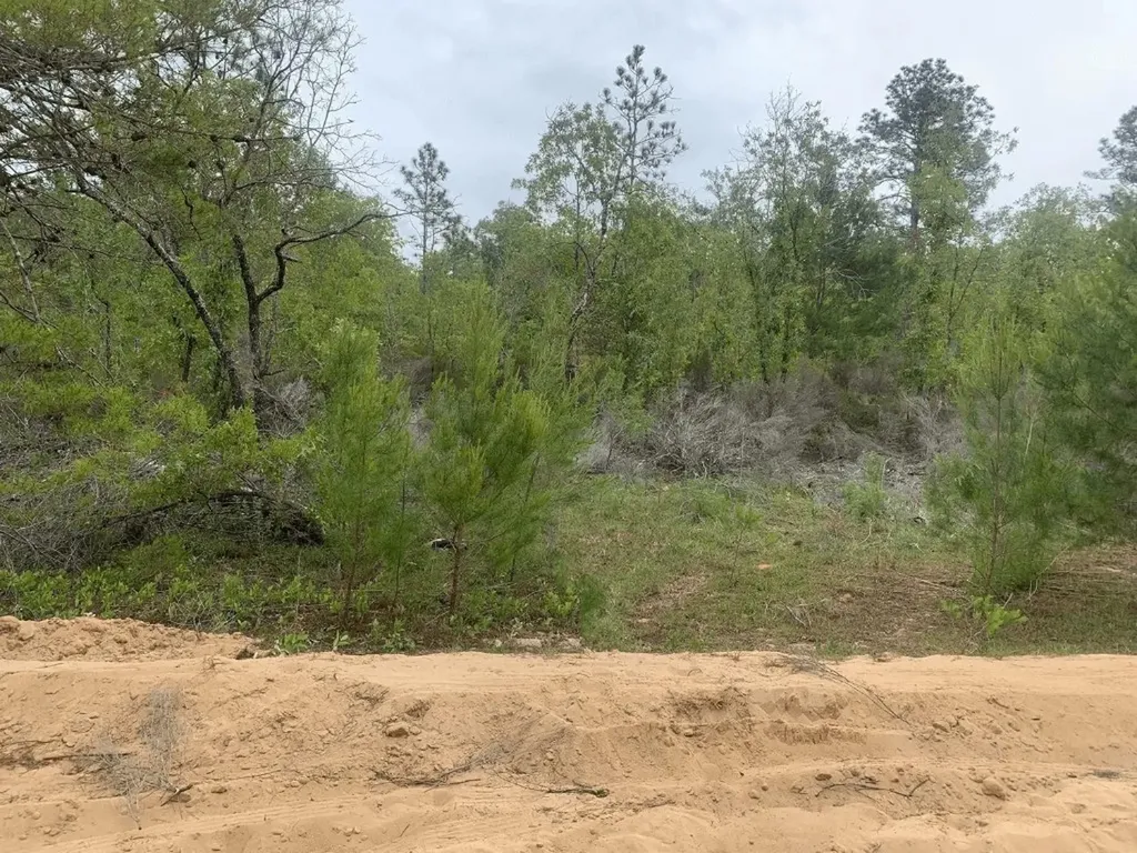 0 May Lane Interlachen FL 32148