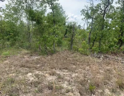 0 Monroe Street Interlachen FL 32148