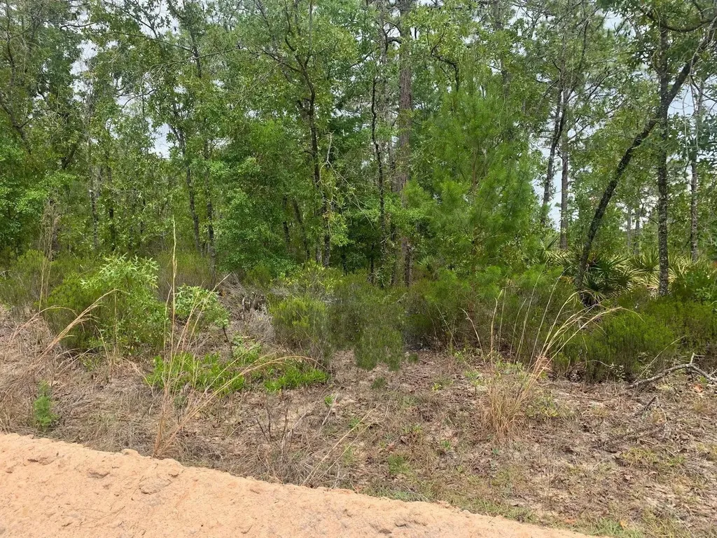 0 Miami Street Interlachen FL 32148