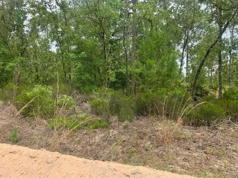 0 Miami Street Interlachen FL 32148