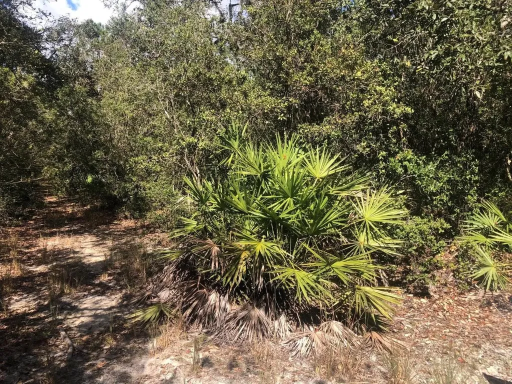 0 Oregon Street Interlachen FL 32148