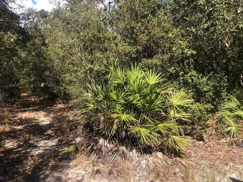 0 Oregon Street Interlachen FL 32148