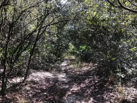 0 Oregon Street Interlachen FL 32148