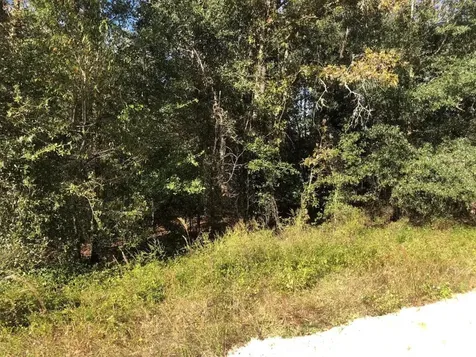 0 Evans Avenue Interlachen FL 32148