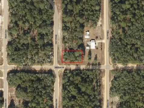 0 Evans Avenue Interlachen FL 32148