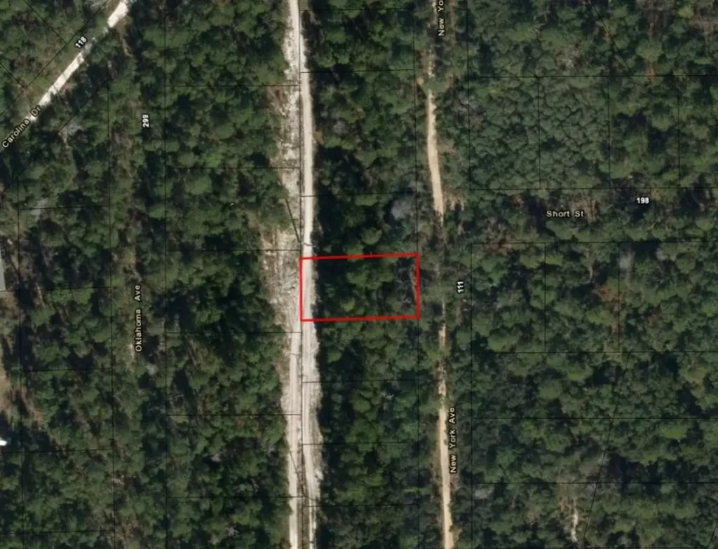 111 New York Avenue Satsuma FL 32148