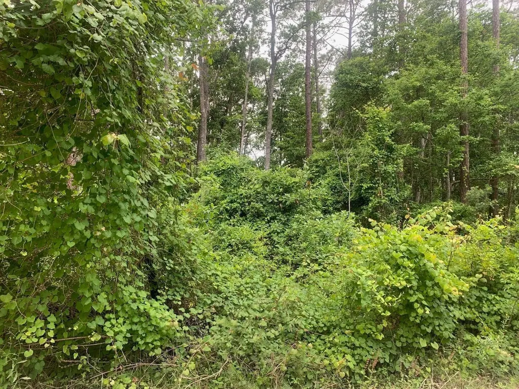 123 Coot Road Satsuma FL 32189