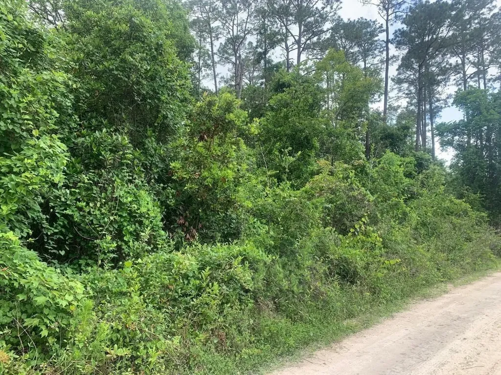 0 Coot Drive Satsuma FL 32189