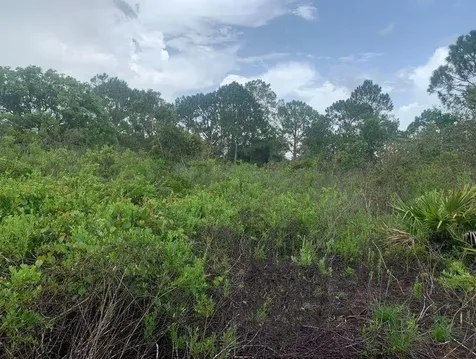 4105 Nogales Avenue Sebring FL 33872