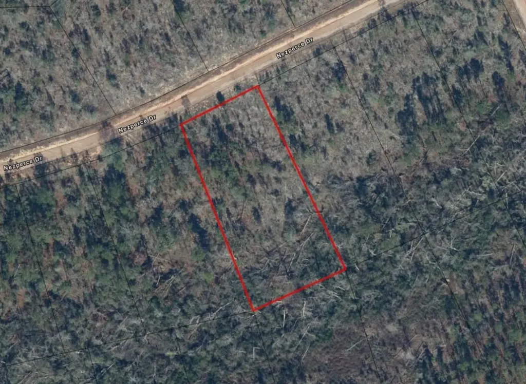 0 Nezperce Drive Alford FL 32420