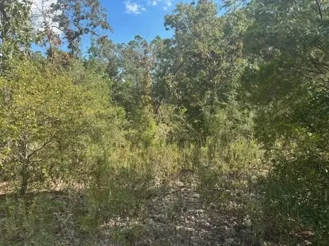 0 Nezperce Drive Alford FL 32420