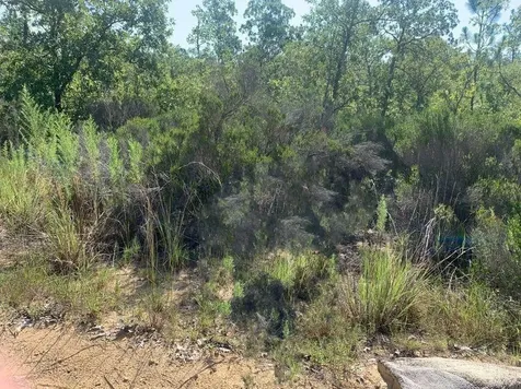 0 Manatee Street Interlachen FL 32148