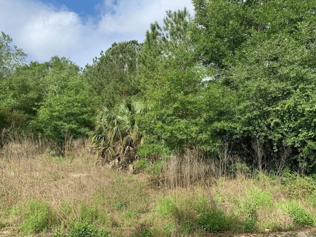0 Douglas Drive Interlachen FL 32148