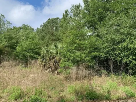 0 Douglas Drive Interlachen FL 32148
