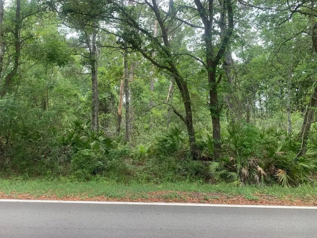 0 Theresa Avenue Interlachen FL 32148