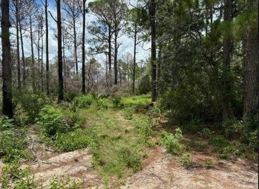 328 Claverton Drive Lake Placid FL 33852