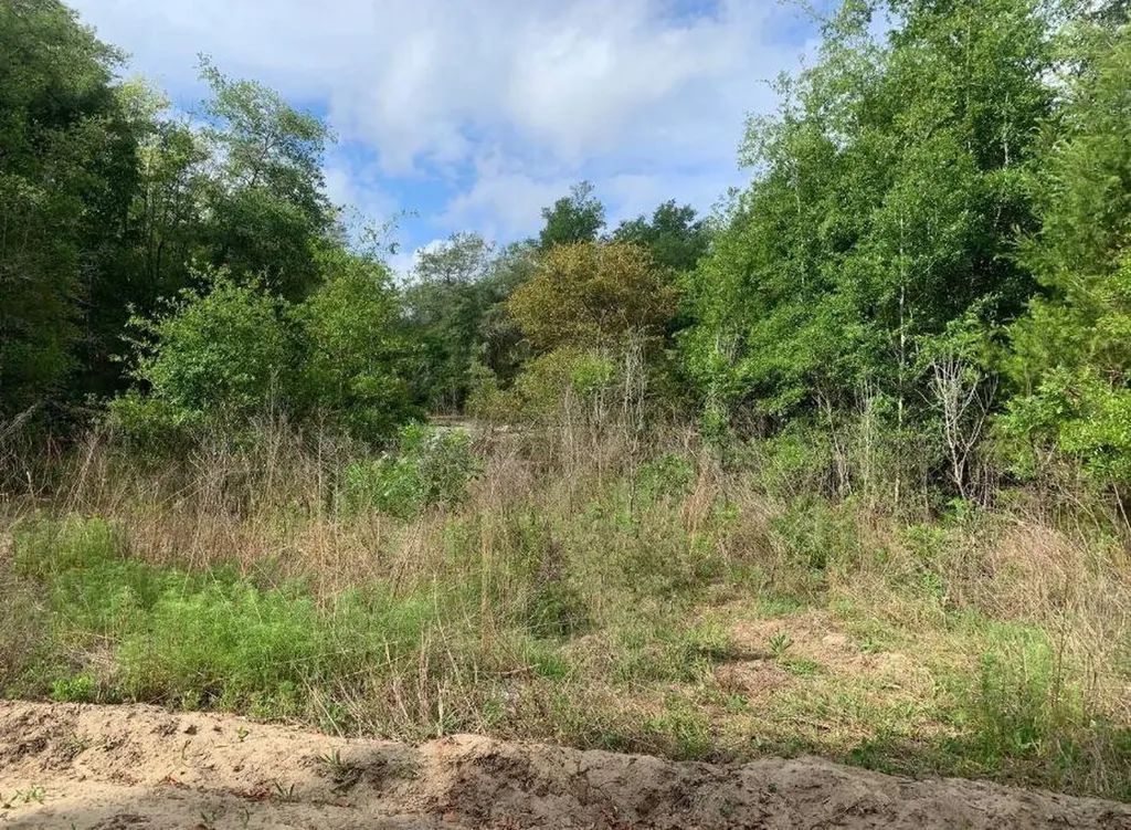 0 Douglas Drive Interlachen FL 32148