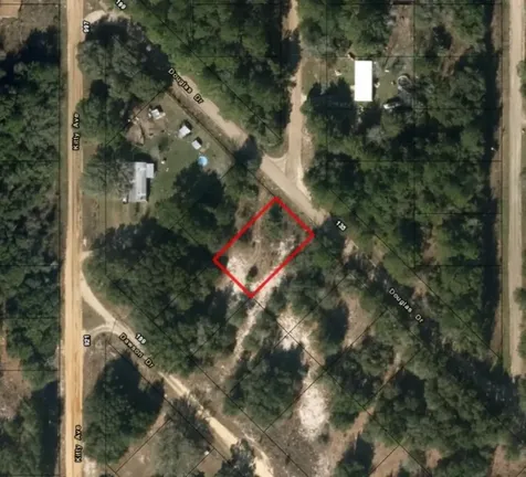 0 Douglas Drive Interlachen FL 32148