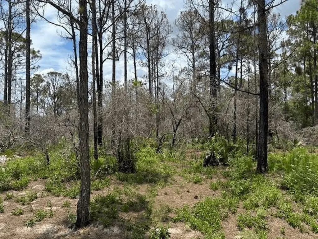 0 Claverton Drive Lake Placid FL 33852