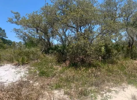 2924 W Quincy Road Avon Park FL 33825