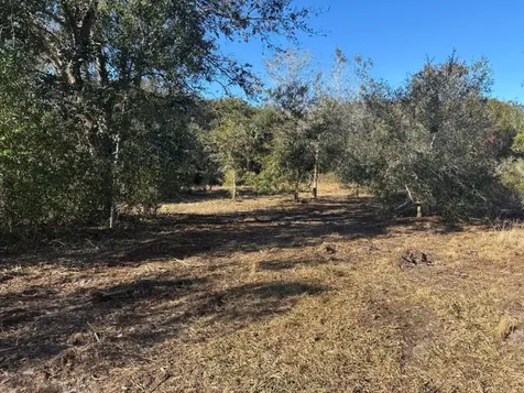 0 NW 296th Street Okeechobee FL 34972