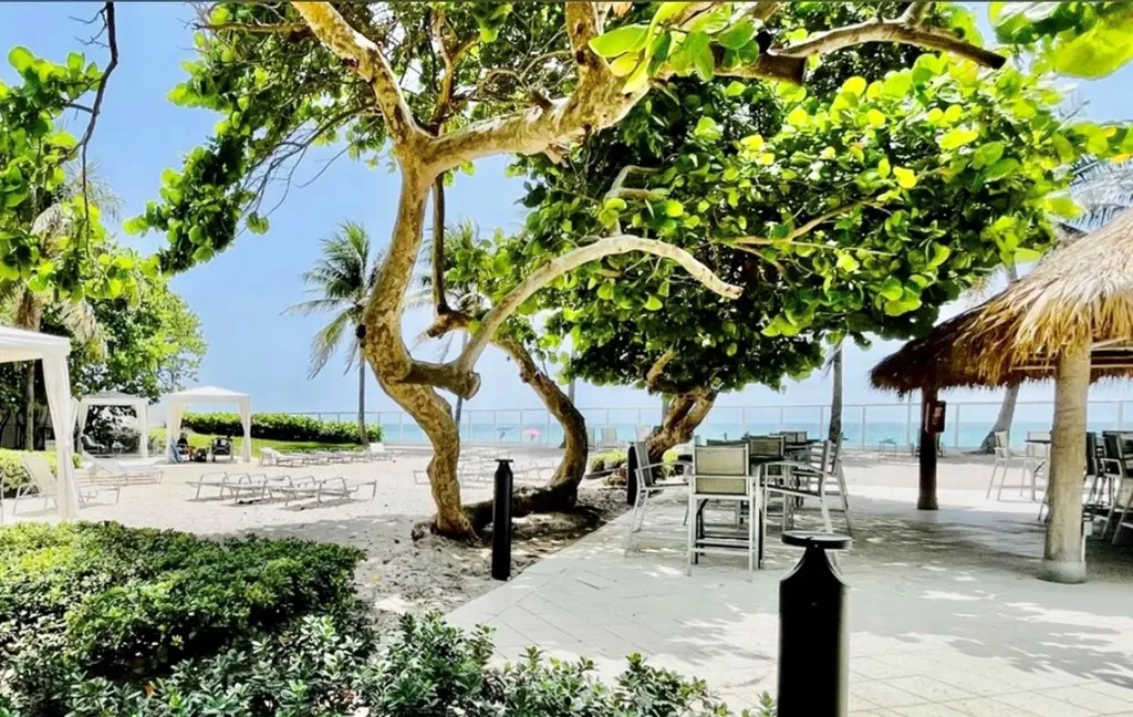 3001 S Ocean Drive Hollywood FL 33019