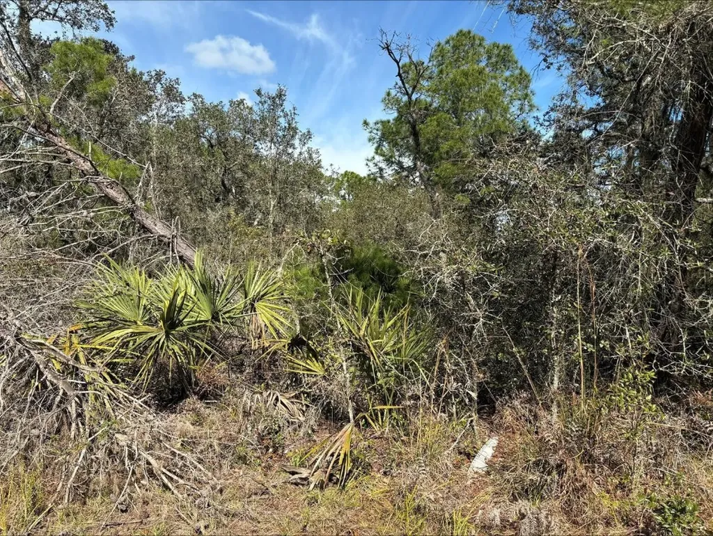 0 Jackson Street Lake Wales FL 33898
