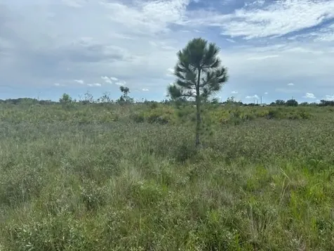 0 NW 308th Street Okeechobee FL 34972
