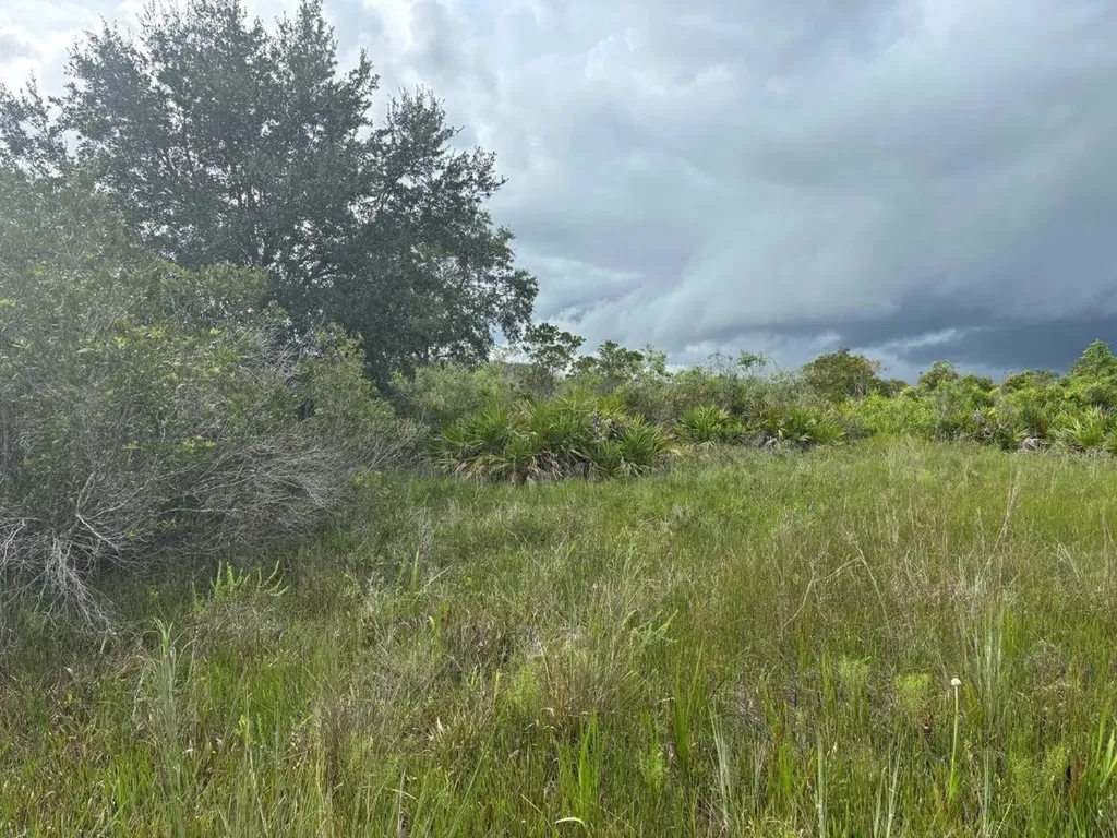 0 NW 312th Street Okeechobee FL 34972