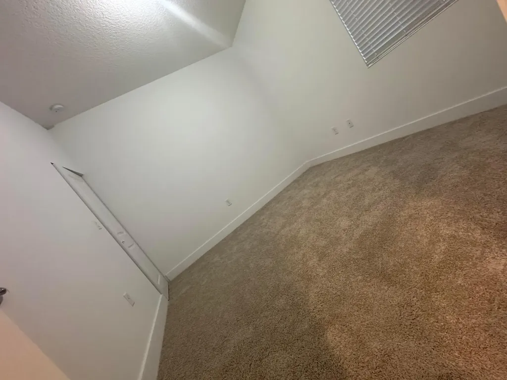 5120 Nevola Avenue Ave Maria FL 34142