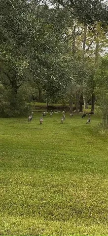32801 Highway 441 Okeechobee FL 34972