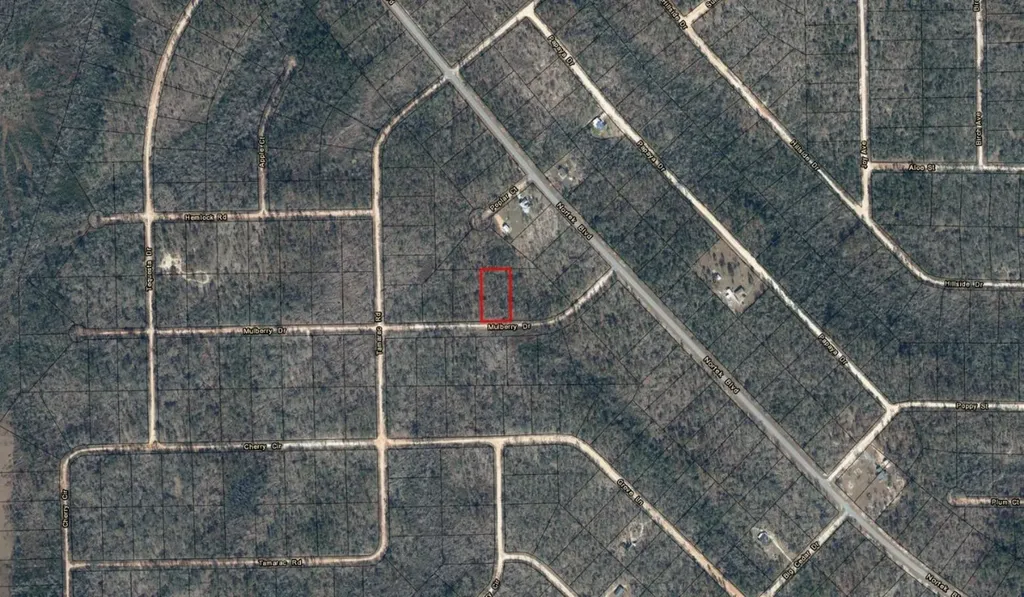 0 Mulberry Drive Marianna FL 32448