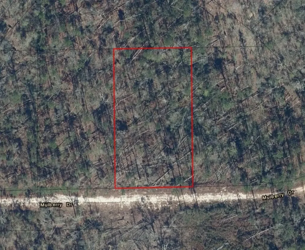 0 Mulberry Drive Marianna FL 32448
