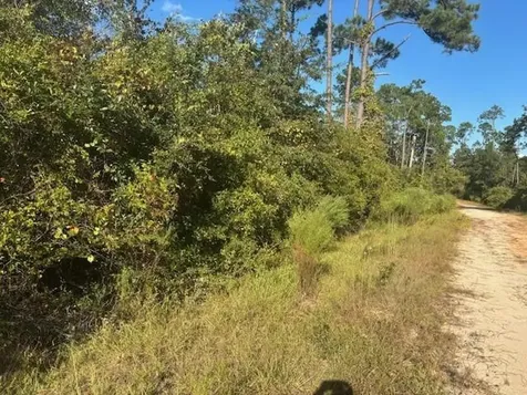 0 Mulberry Drive Marianna FL 32448